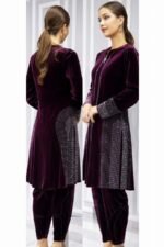 Attractive Stone Work Design Velvet Co-Ord Suit। কোরিয়ান ভেলভেট ফেব্রিক্স - Image 6